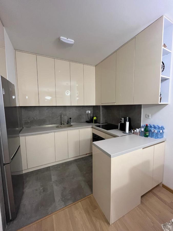 Flat Mara, Pet Friendly Apartman Podgorica Kültér fotó